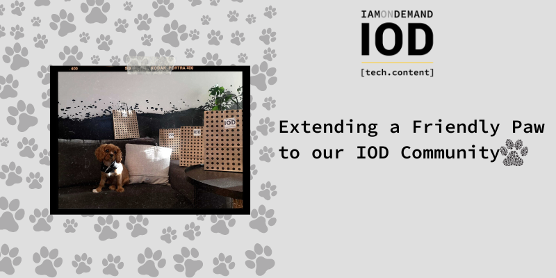 Extending a Friendly Paw to our IOD Community